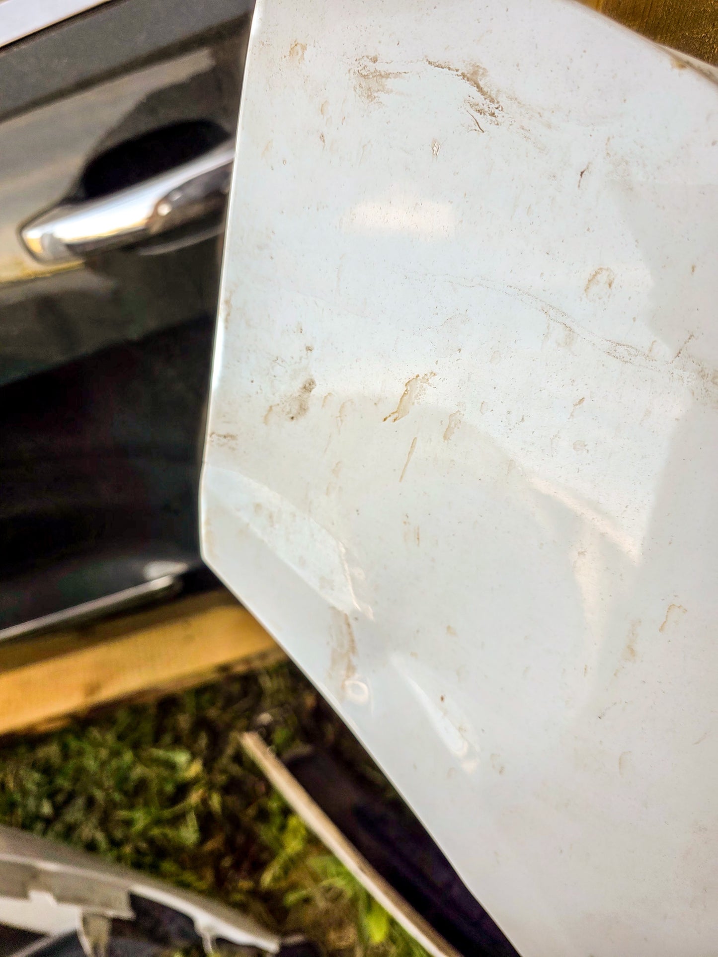 2012-2017 Audi A5 2.0 Progressiv Front Left Fender 8T0821105H