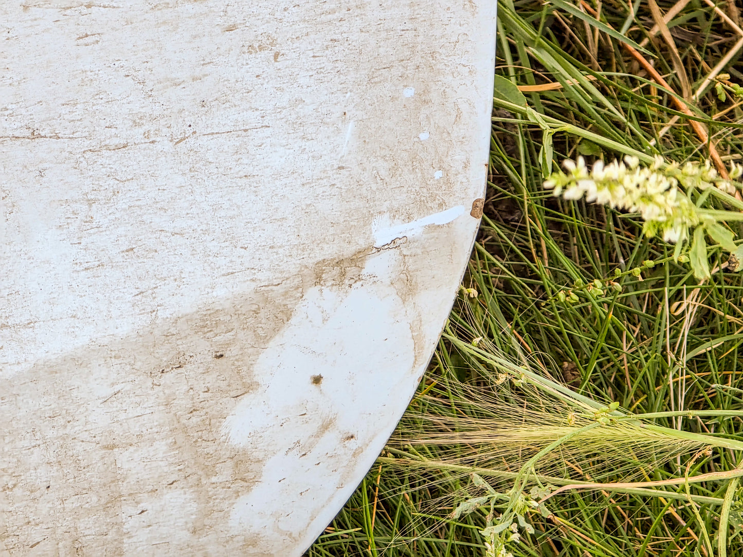 2010-2017  Audi A5 2.0 Progressiv Front Driver Side Left Door 8F0831051A, 8F0845201B