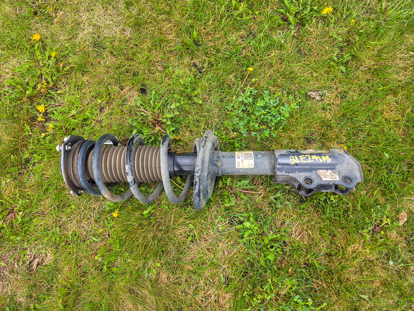 2019-2026 Chevrolet Blazer Front Passenger Right Side Suspension Strut & Coil Spring Assembly OEM