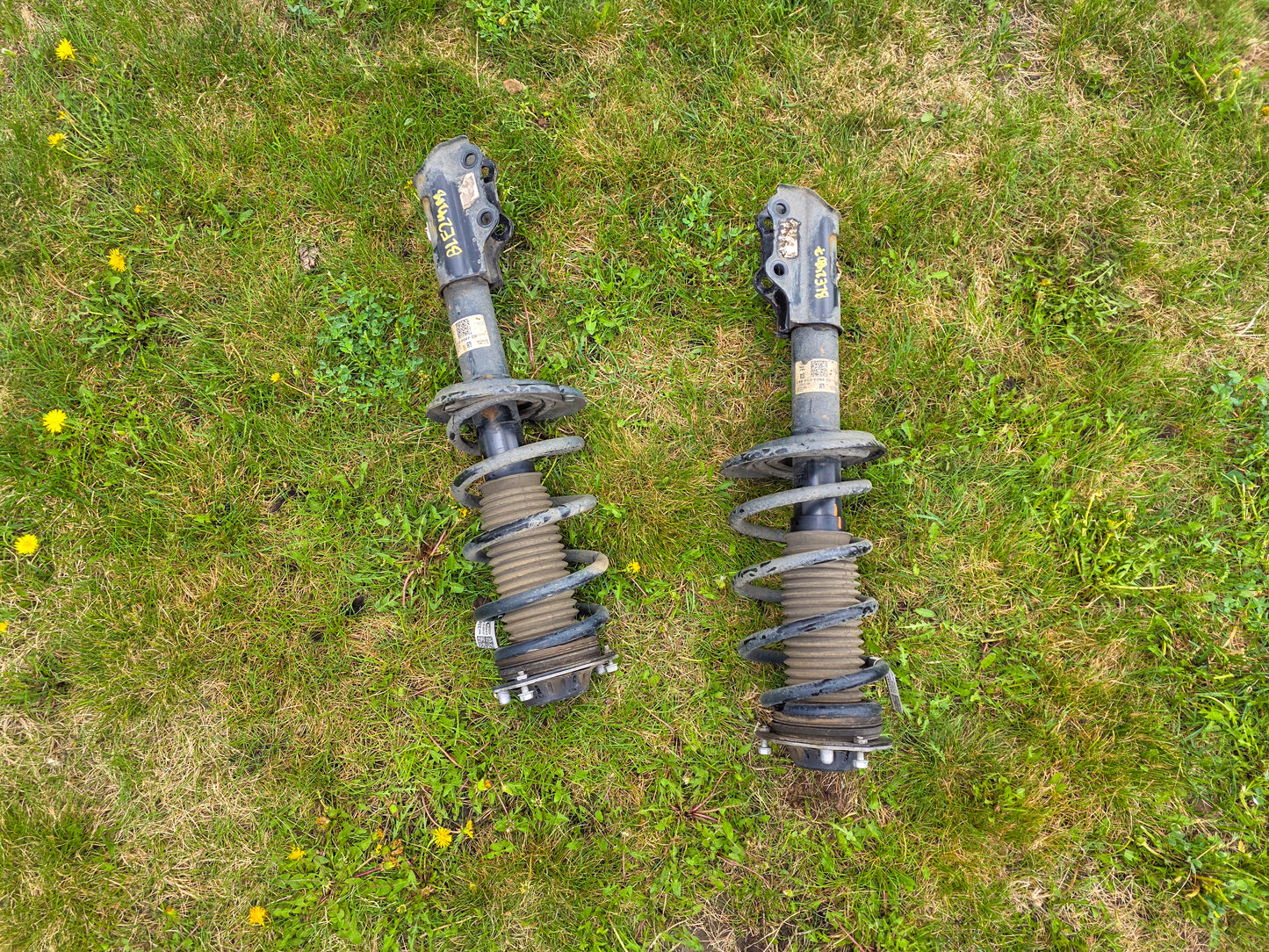 2019-2026 Chevrolet Blazer Front Passenger Right Side Suspension Strut & Coil Spring Assembly OEM